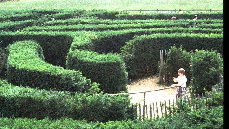Ann 1990 maze.jpg